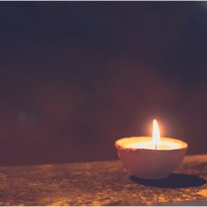 Basic Vedic Astrology Course